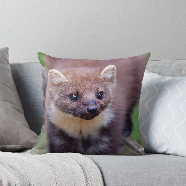 Item preview, Pine Marten designed and sold by Krys Bailey.
