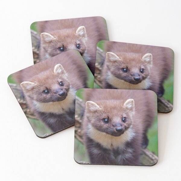 Item preview, Pine Marten designed and sold by Krys Bailey.