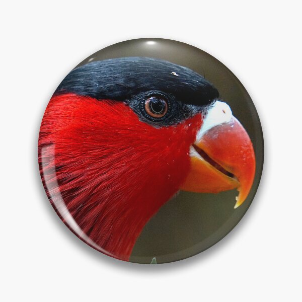 Item preview, Fergusson Island Lory designed and sold by Nicole Gath.