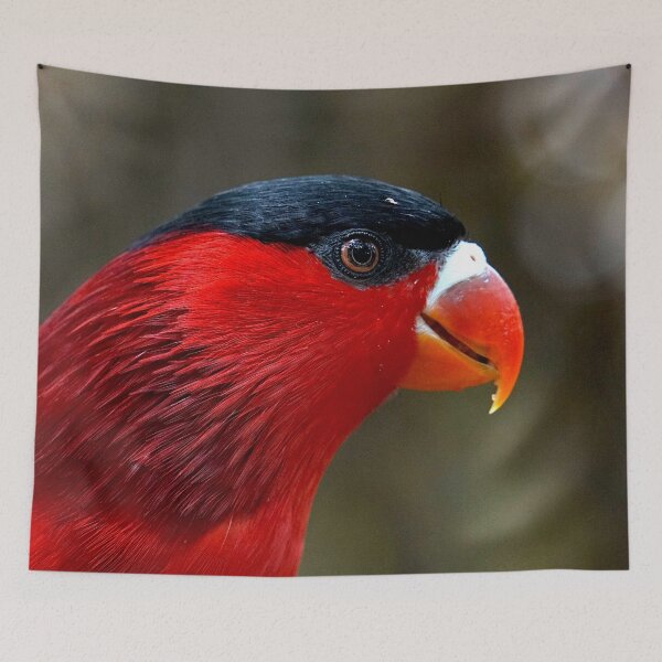 Item preview, Fergusson Island Lory designed and sold by Nicole Gath.