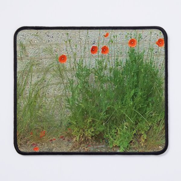 Item preview, Poppy's designed and sold by Robert Elfferich.