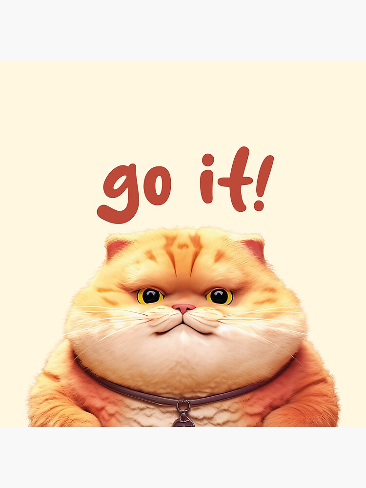 Fat cat go it | Pin