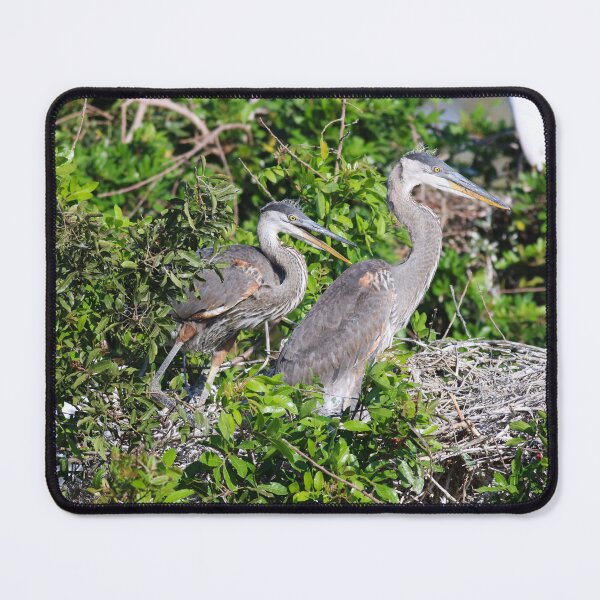 Item preview, Youthful Exuberance designed and sold by Michiale.