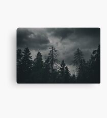 Storm coming Canvas Print