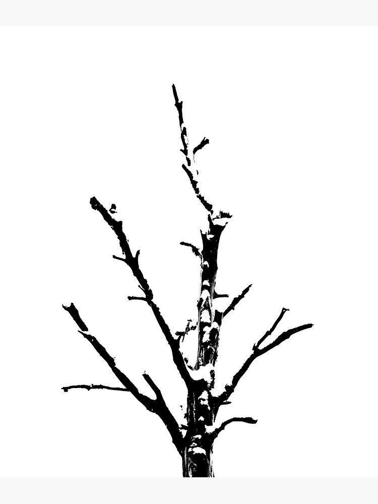 Thumbnail 3 of 3, Sticker, Dead Tree in Winter designed and sold by davecurrie.