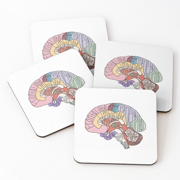 Item preview, Labeled Brain Anatomy designed and sold by kilpatrickgeral.