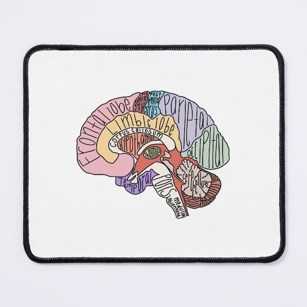 Item preview, Labeled Brain Anatomy designed and sold by kilpatrickgeral.