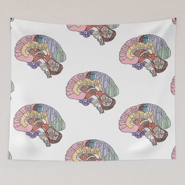 Item preview, Labeled Brain Anatomy designed and sold by kilpatrickgeral.