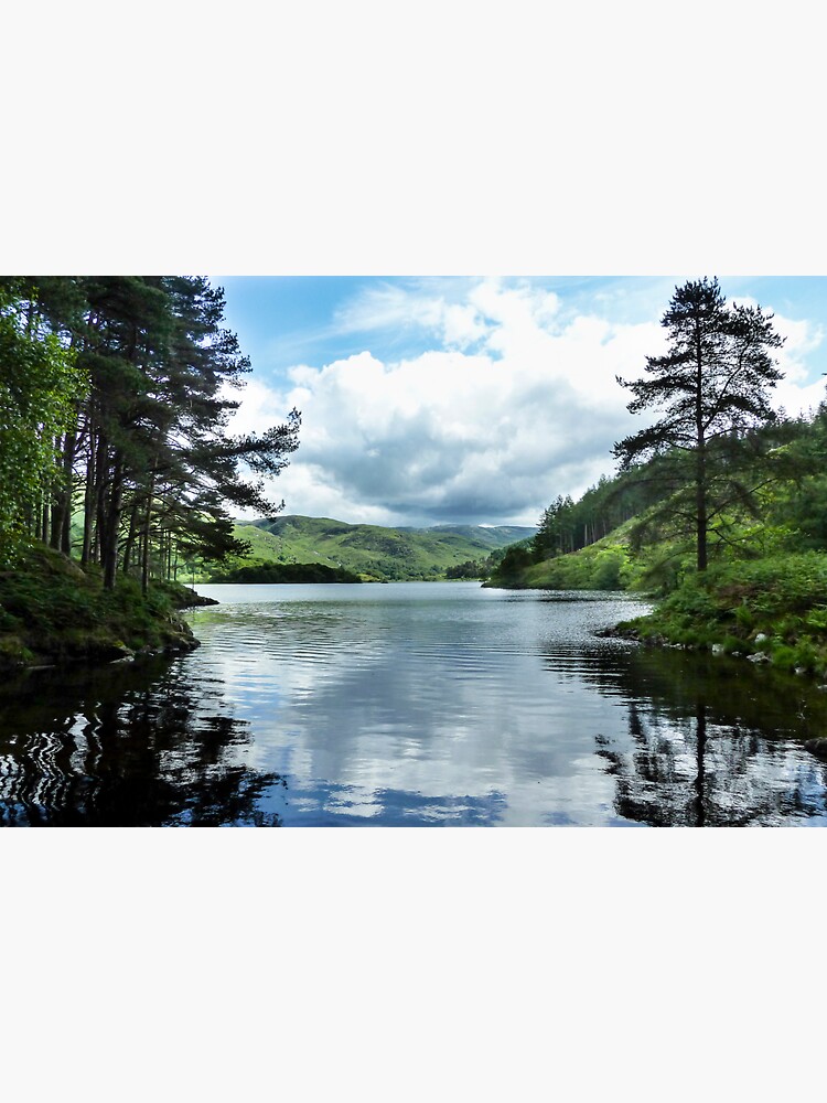 Artwork view, Loch Trool in Galloway Forest Park, Scotland designed and sold by Dave Currie