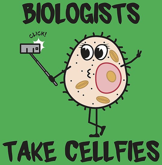  Biologists Take Cellfies Funny Biology Jokes Gift Posters By Yeoys 