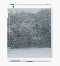 Fall Snowstorm iPad Case/Skin