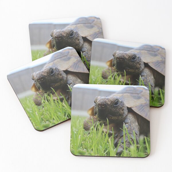 Item preview, Little Foot The Pet Tortoise cute reptile lovers notebook tshirt  designed and sold by Talia  Jones.