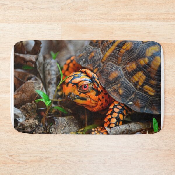 Item preview, Box Turtle Ready To Eat designed and sold by LisaWootenPhoto.