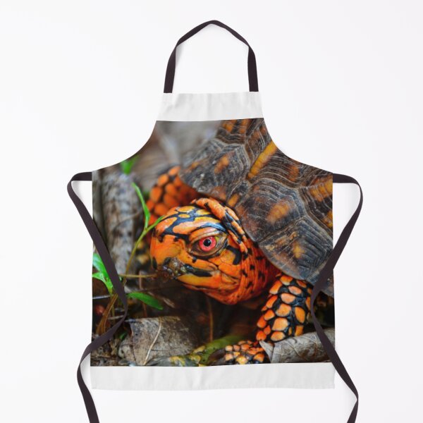 Item preview, Box Turtle Ready To Eat designed and sold by LisaWootenPhoto.