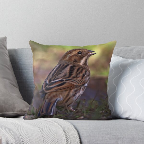 Artikelvorschau, Reed Bunting (weiblich) Emberiza Schoeniclus entworfen und verkauft von Robert Flynn.
