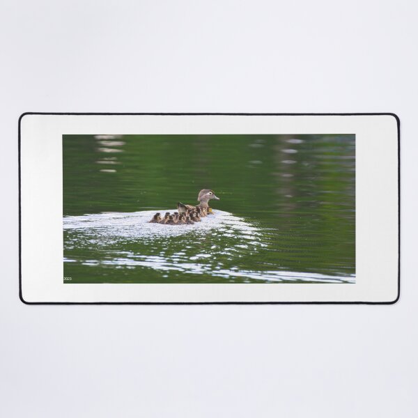 Item preview, Wood Duck Momma And Her Babies designed and sold by LisaWootenPhoto.