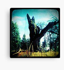 Ttv: Tree Dead Center Canvas Print