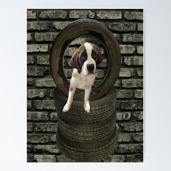 Item preview, SOMETIME ONE TIRES OF THE OBSTACLES WE GO THROUGH IN LIFE...SAINT BERNARD PUPPY..PICTURE AND OR PRINTS ECT. designed and sold by ✿✿ Bonita ✿✿ ђєℓℓσ.