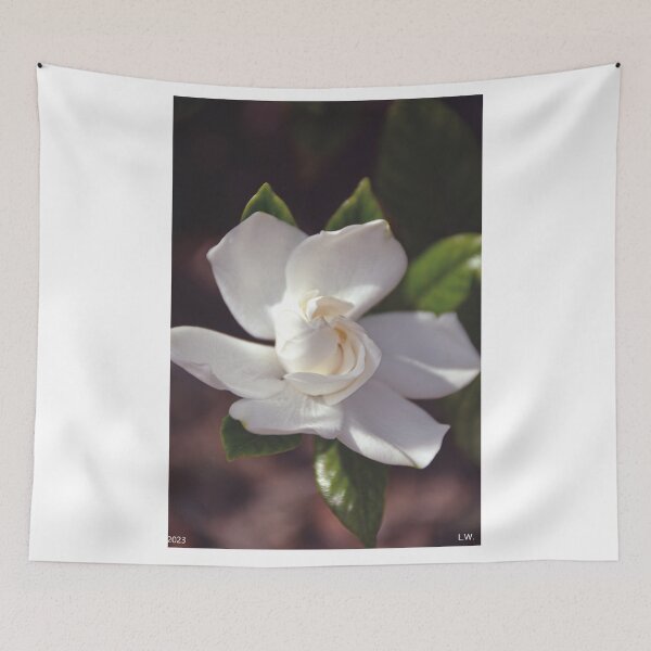 Item preview, Gardenia Bloom Vertical designed and sold by LisaWootenPhoto.