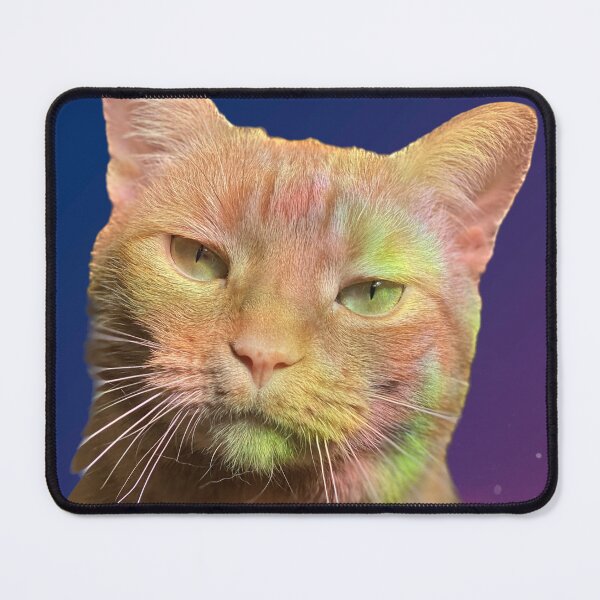 Item preview, Lawless designed and sold by Ange Martone.