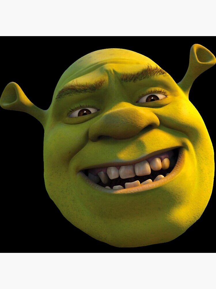 Pin on Funny Shrek memes