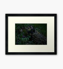 Glade Framed Print