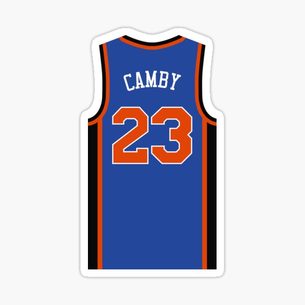 Nba New York Knicks 10 Pets Basketball Mesh Jersey : Target