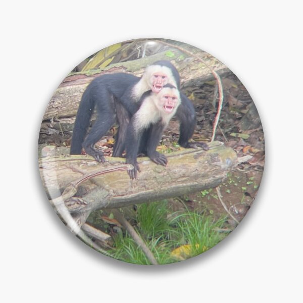 Item preview, Costa Rica Monkeys designed and sold by OneJourney.