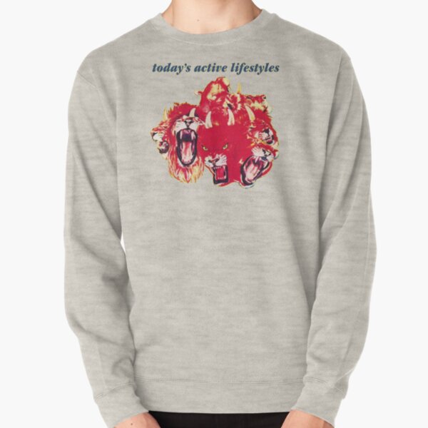 Today's Active Lifestyles Pullover Sweatshirt