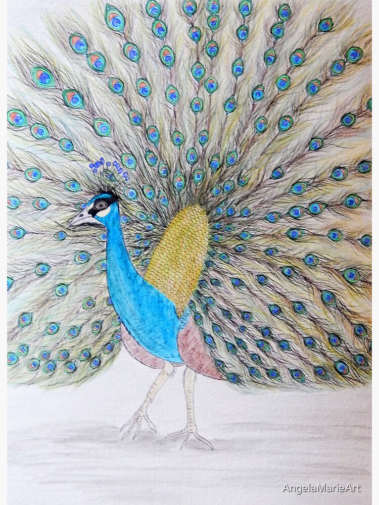 Peacock Coloring Pages: Over 2,306 Royalty-Free Licensable Stock Vectors &  Vector Art | Shutterstock