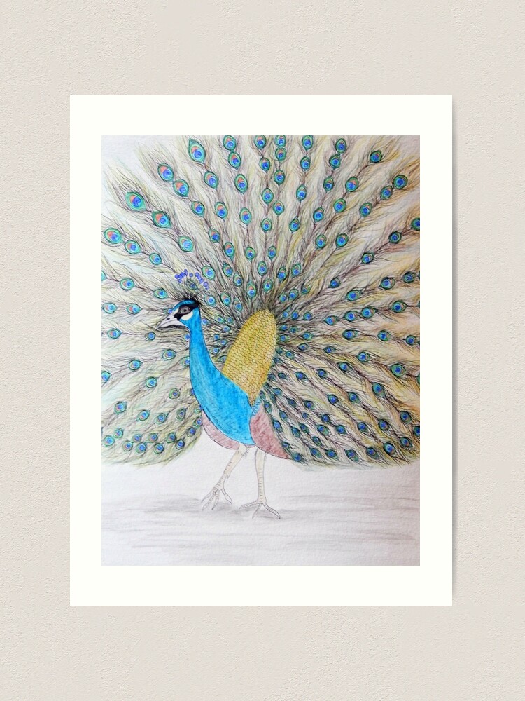 Wall Art Print  Love's Vibrant Peacock: Colorful Texture