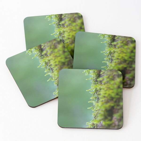 Item preview, Woodland Scene with Green Moss Growing on a Tree designed and sold by vryandesigns.