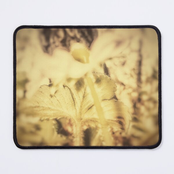 Item preview, Strawberry flower designed and sold by JCKCreations.