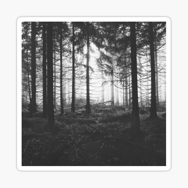 Item preview, Through The Trees // Nightwalker In Ghostwood Romantic Foggy Misty Fairytale Forest Covered In Magic Fog designed and sold by Tordis Kayma.