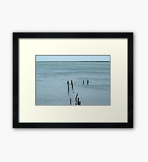 Disa-Pier Framed Print