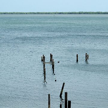 Artwork thumbnail, Disa-Pier by Donna Wilkins