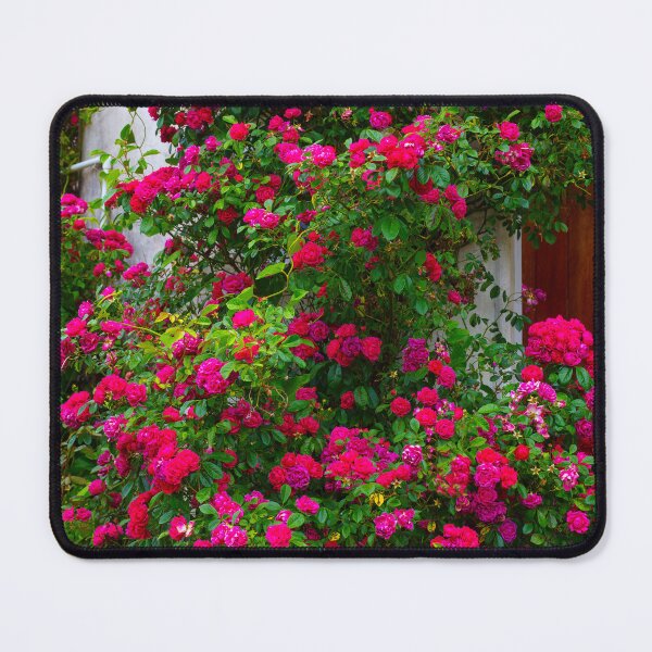 Item preview, Climbing Red Roses designed and sold by Garry Gay.