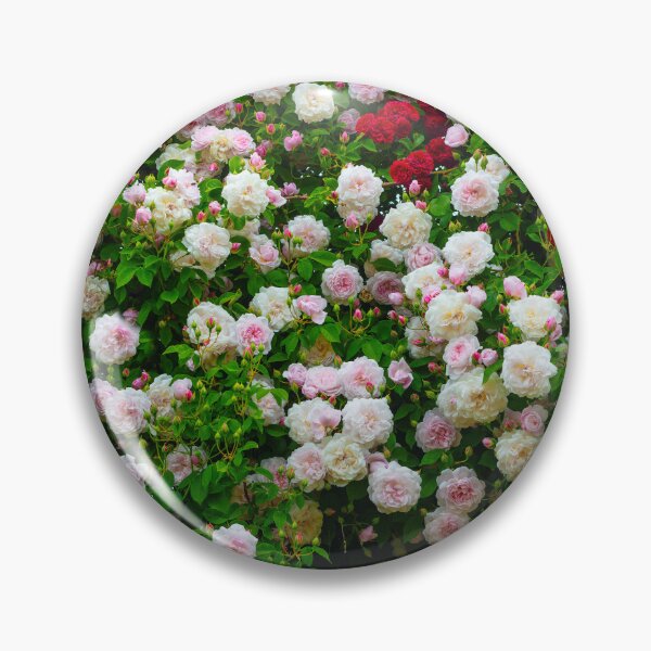 Item preview, Climbing Red Roses designed and sold by Garry Gay.