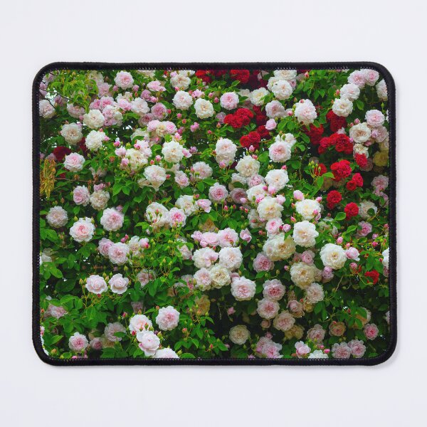 Item preview, Climbing Red Roses designed and sold by Garry Gay.