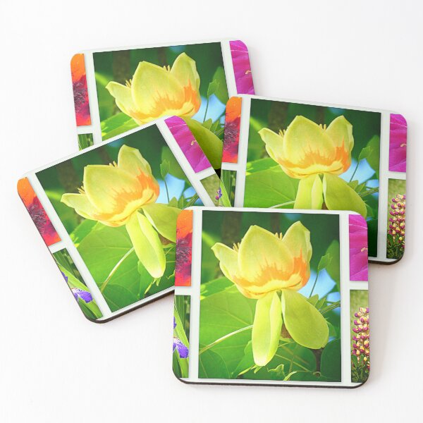 Item preview, Blooming in June designed and sold by angel1.