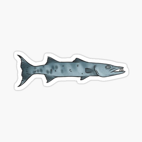Barracuda Fish Stickers for Sale