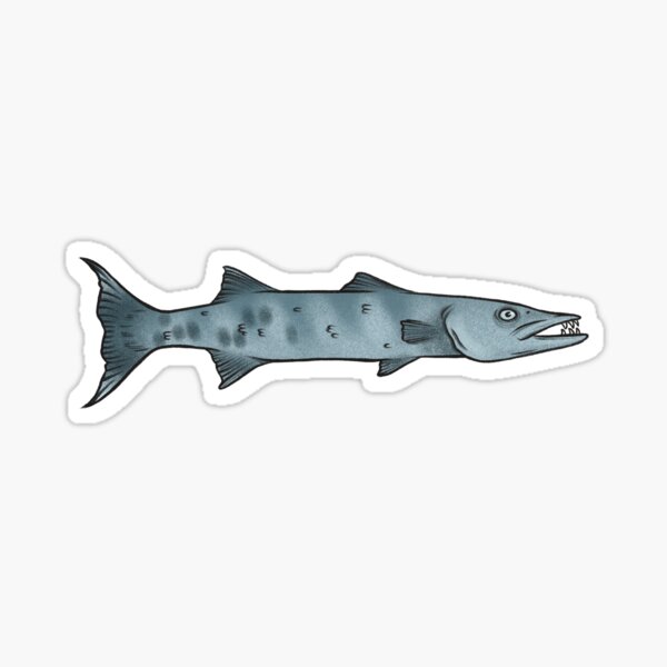 Barracuda Decal Sticker - Saltwater Fish Collection