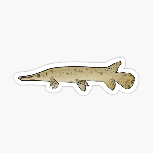 Alligator Gar Custom Long Sleeve Uv Fishing Shirts, Gar Hunter