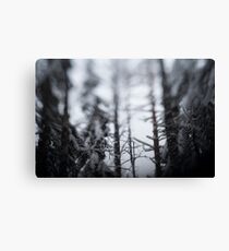 Snow Woods Canvas Print