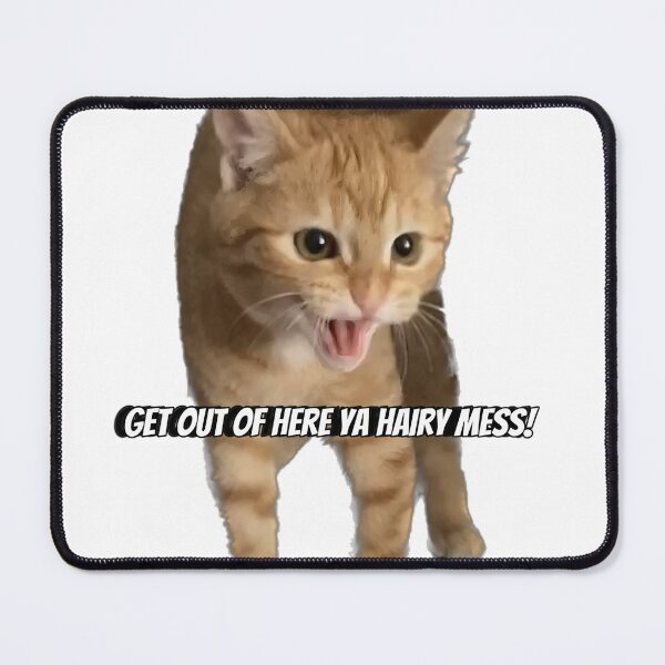 Item preview, Get out of here ya hairy mess! designed and sold by Kitty Shinanigans.
