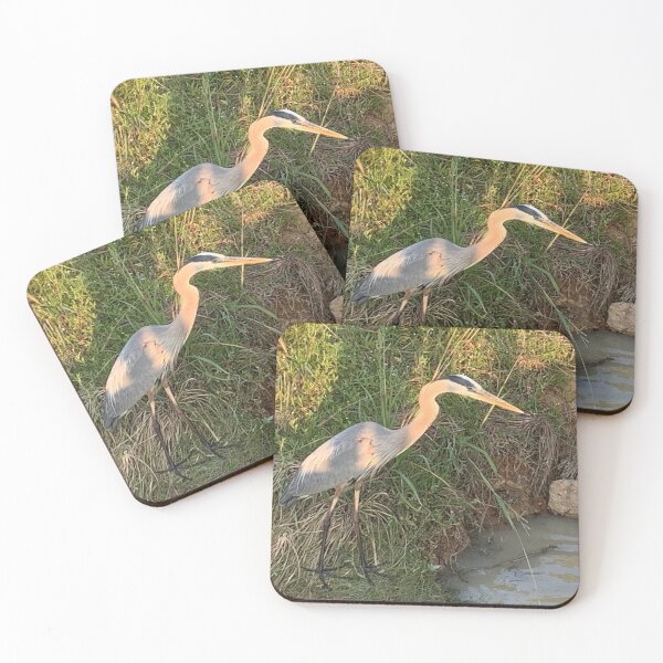 Great Blue Heron Coasters (Set of 4)