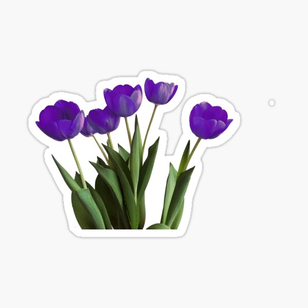 Item preview, Purple Tulips 2018 designed and sold by LindaLou1952.