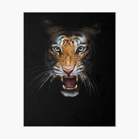 Tiger Fighting Animal Beast Fierce Lion/leopard Print 3D T-shirt