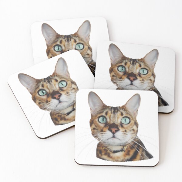 Item preview, andrew tate and joe biden having a baby cat  designed and sold by Design Repo.