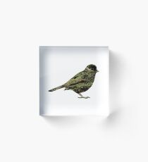 Olive Tree Wood Sparrow Acrylic Block